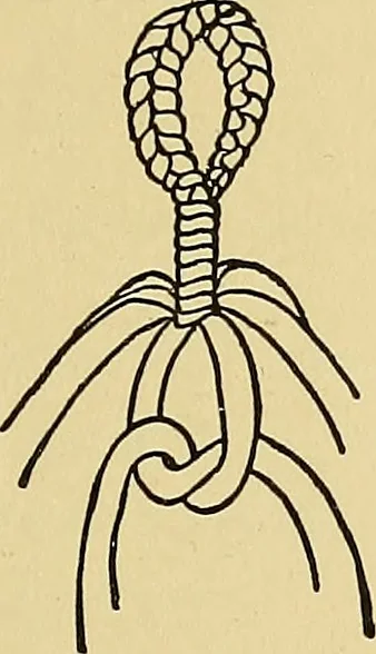 An illustration from Things worth doing and how to do them, 1906, leaf 240