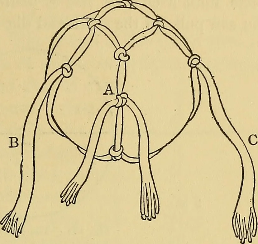 An illustration from Things worth doing and how to do them, 1906, leaf 242