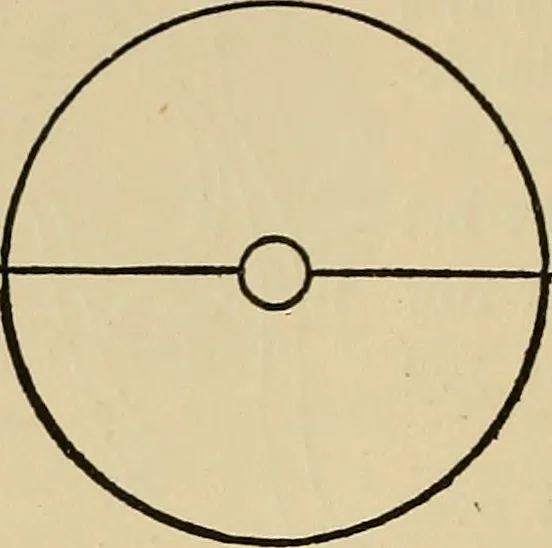 An illustration from Things worth doing and how to do them, 1906, leaf 243