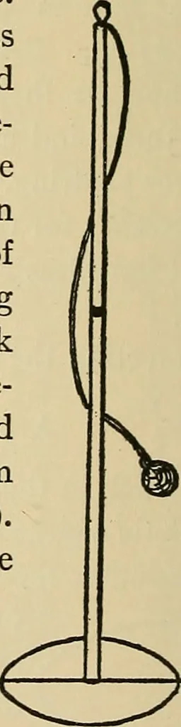An illustration from Things worth doing and how to do them, 1906, leaf 243