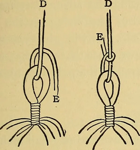 An illustration from Things worth doing and how to do them, 1906, leaf 244
