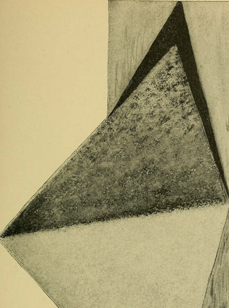 An illustration from Things worth doing and how to do them, 1906, leaf 252