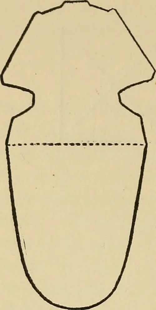 An illustration from Things worth doing and how to do them, 1906, leaf 259