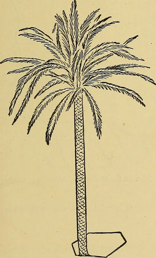 An illustration from Things worth doing and how to do them, 1906, leaf 260