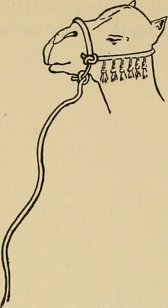 An illustration from Things worth doing and how to do them, 1906, leaf 265