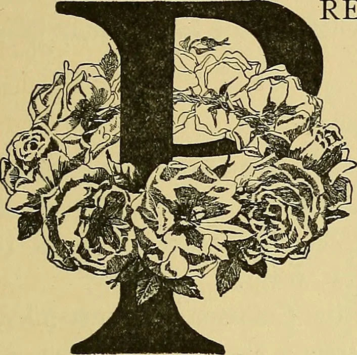 An illustration from Things worth doing and how to do them, 1906, leaf 266