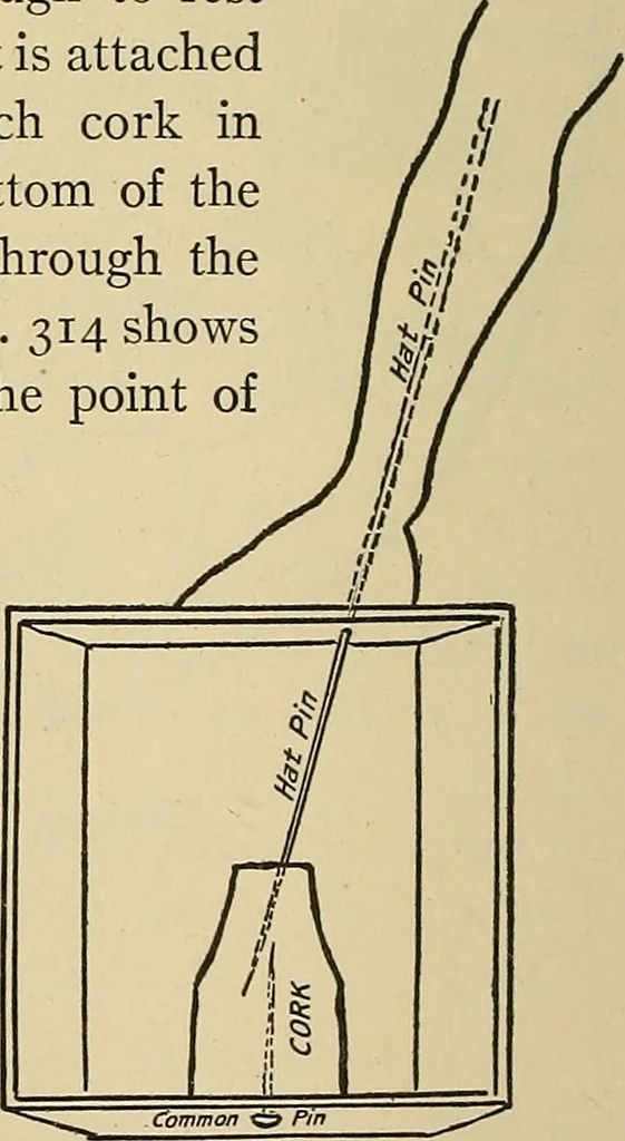 An illustration from Things worth doing and how to do them, 1906, leaf 273
