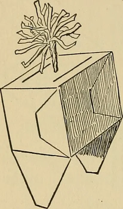 An illustration from Things worth doing and how to do them, 1906, leaf 285