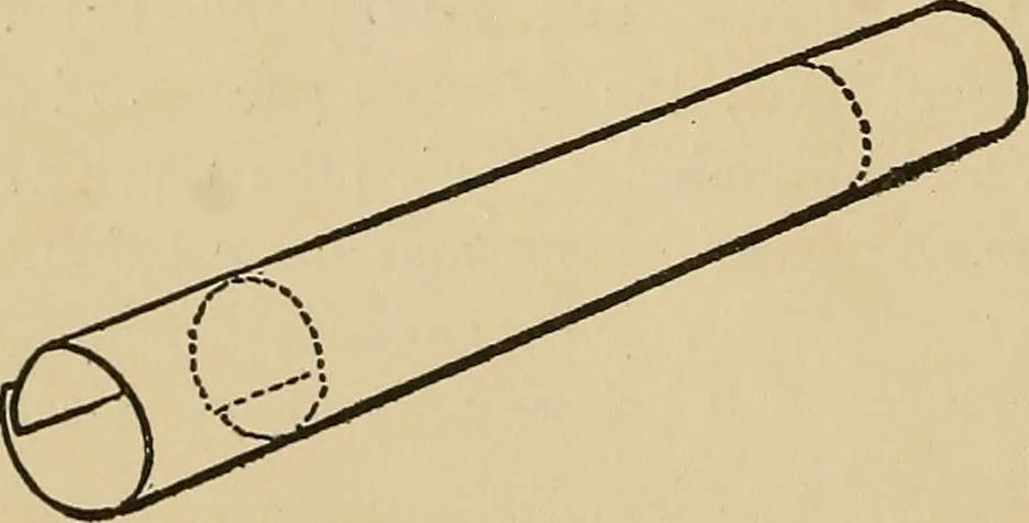 An illustration from Things worth doing and how to do them, 1906, leaf 29