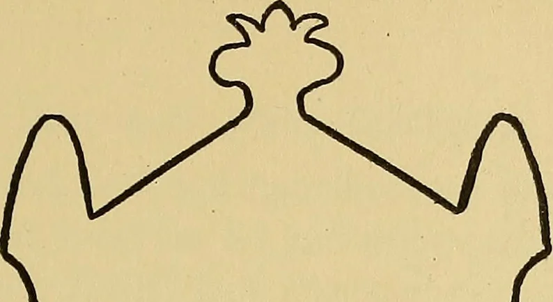 An illustration from Things worth doing and how to do them, 1906, leaf 294