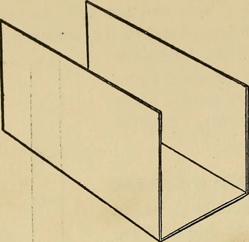 An illustration from Things worth doing and how to do them, 1906, leaf 307
