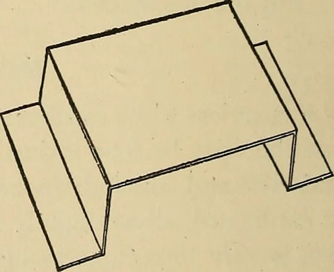 An illustration from Things worth doing and how to do them, 1906, leaf 307
