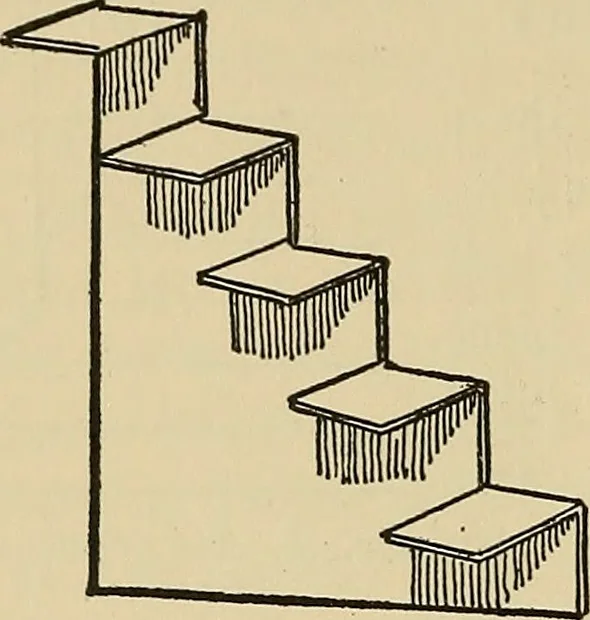 An illustration from Things worth doing and how to do them, 1906, leaf 311