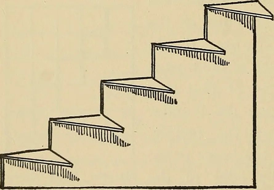 An illustration from Things worth doing and how to do them, 1906, leaf 311