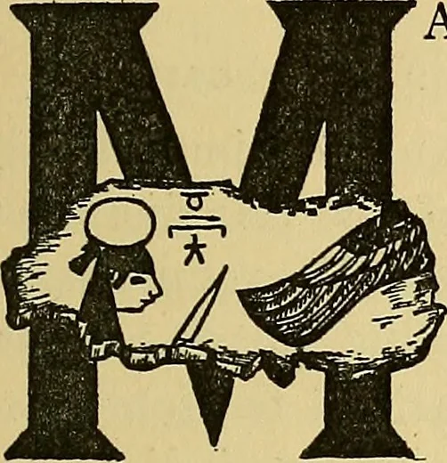 An illustration from Things worth doing and how to do them, 1906, leaf 314