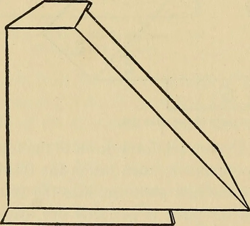 An illustration from Things worth doing and how to do them, 1906, leaf 325
