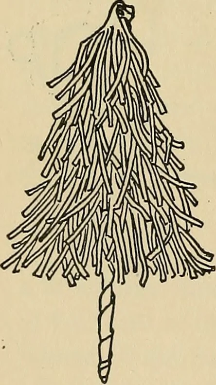 An illustration from Things worth doing and how to do them, 1906, leaf 331