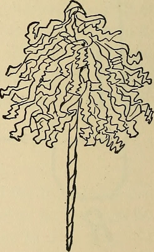 An illustration from Things worth doing and how to do them, 1906, leaf 331