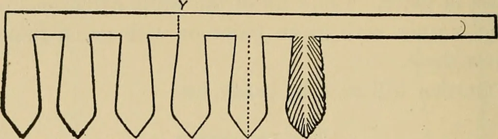 An illustration from Things worth doing and how to do them, 1906, leaf 333