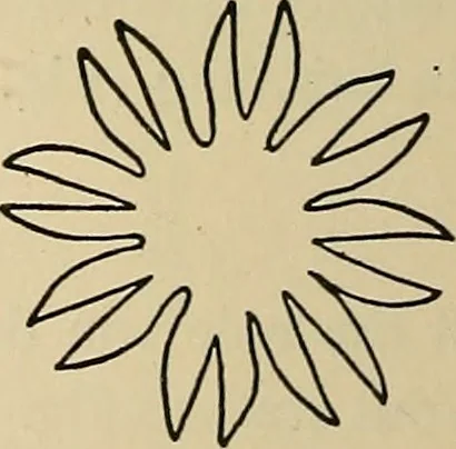An illustration from Things worth doing and how to do them, 1906, leaf 333