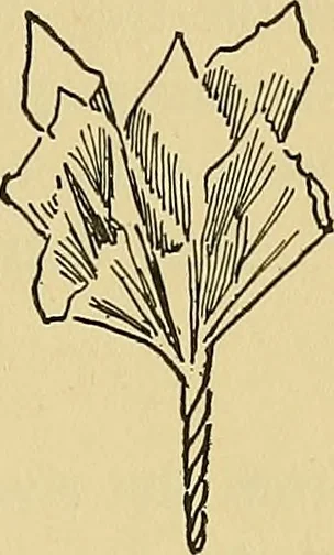 An illustration from Things worth doing and how to do them, 1906, leaf 334