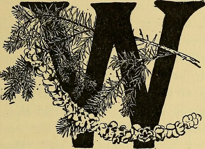 An illustration from Things worth doing and how to do them, 1906, leaf 338