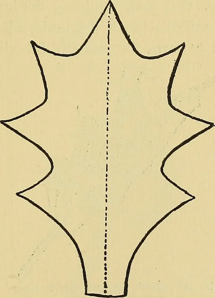 An illustration from Things worth doing and how to do them, 1906, leaf 340