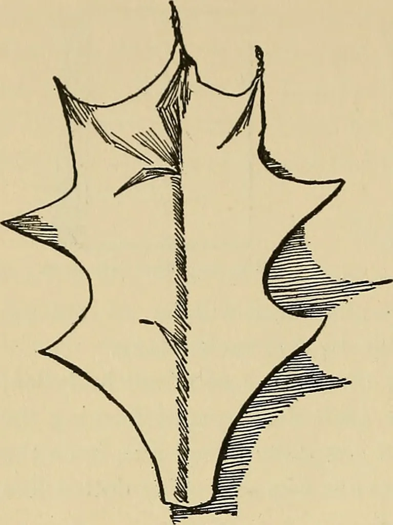 An illustration from Things worth doing and how to do them, 1906, leaf 341