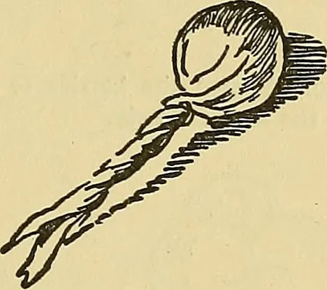 An illustration from Things worth doing and how to do them, 1906, leaf 342
