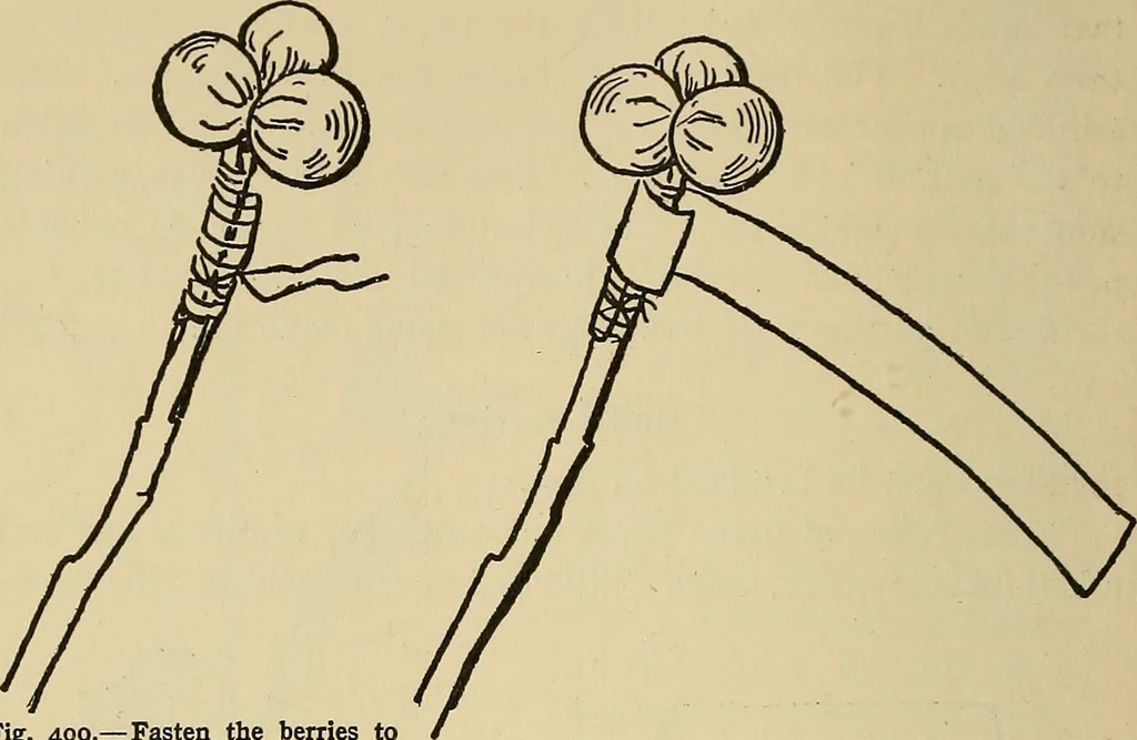 An illustration from Things worth doing and how to do them, 1906, leaf 343