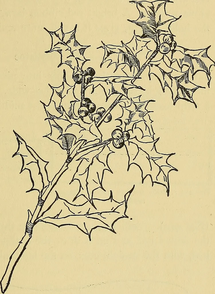 An illustration from Things worth doing and how to do them, 1906, leaf 344