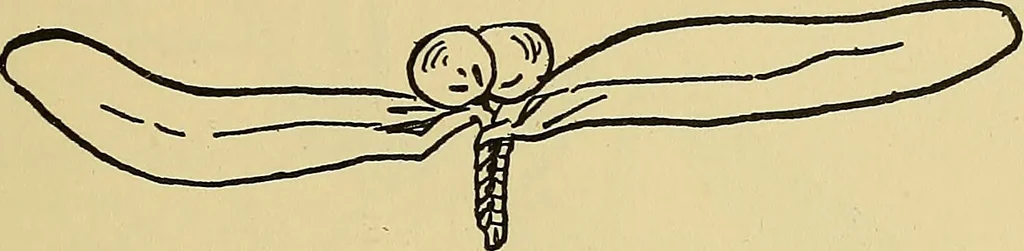 An illustration from Things worth doing and how to do them, 1906, leaf 346