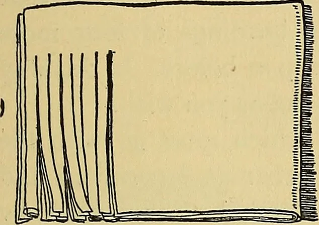 An illustration from Things worth doing and how to do them, 1906, leaf 348