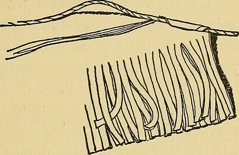 An illustration from Things worth doing and how to do them, 1906, leaf 348