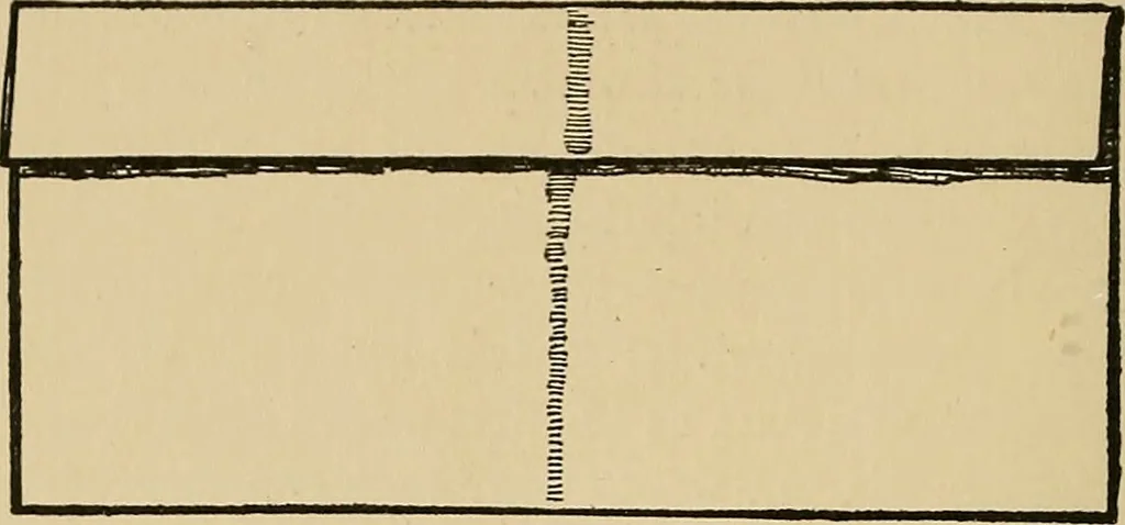 An illustration from Things worth doing and how to do them, 1906, leaf 35