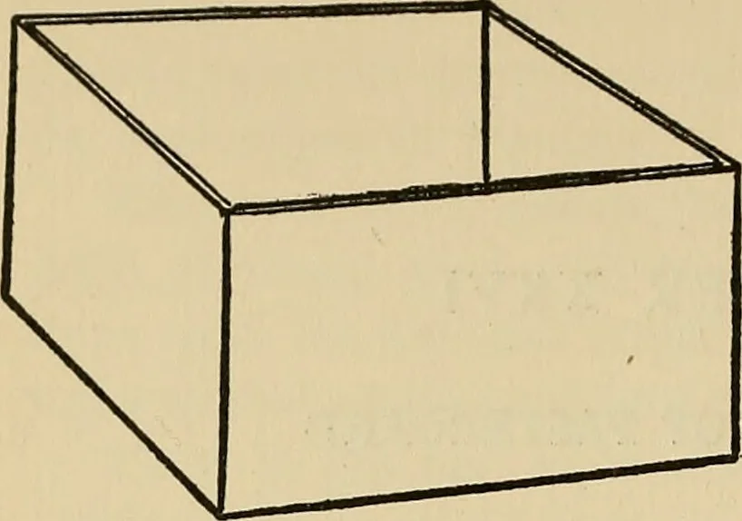 An illustration from Things worth doing and how to do them, 1906, leaf 351