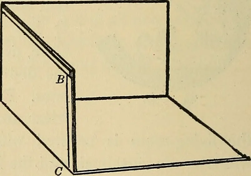 An illustration from Things worth doing and how to do them, 1906, leaf 351