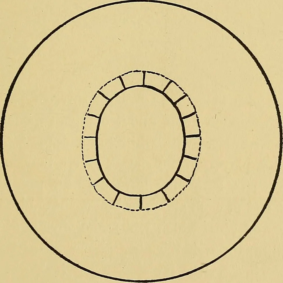 An illustration from Things worth doing and how to do them, 1906, leaf 36