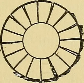 An illustration from Things worth doing and how to do them, 1906, leaf 368