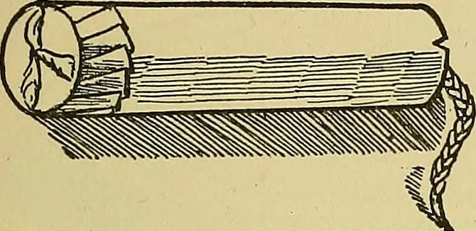 An illustration from Things worth doing and how to do them, 1906, leaf 370
