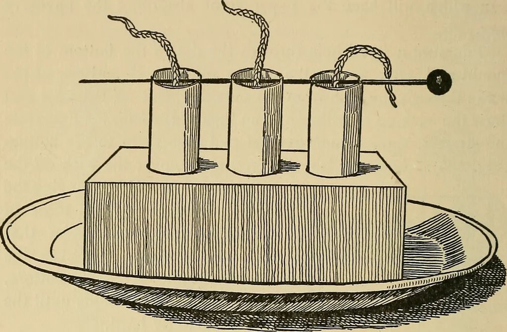 An illustration from Things worth doing and how to do them, 1906, leaf 371