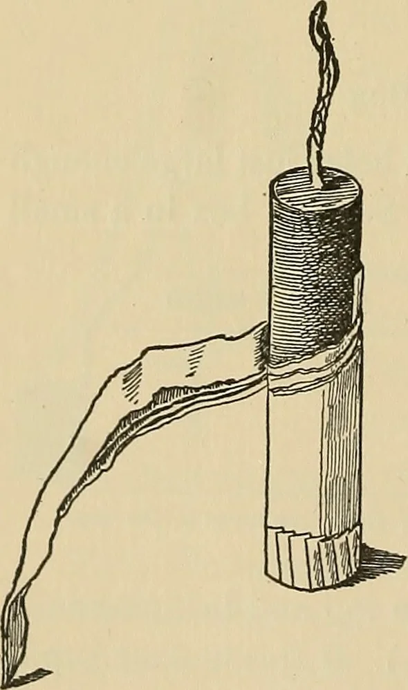An illustration from Things worth doing and how to do them, 1906, leaf 371