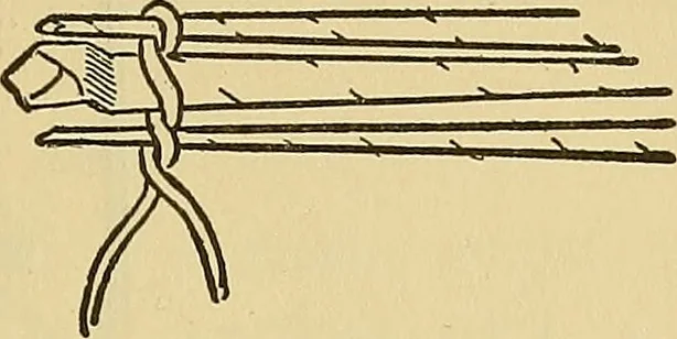 An illustration from Things worth doing and how to do them, 1906, leaf 378