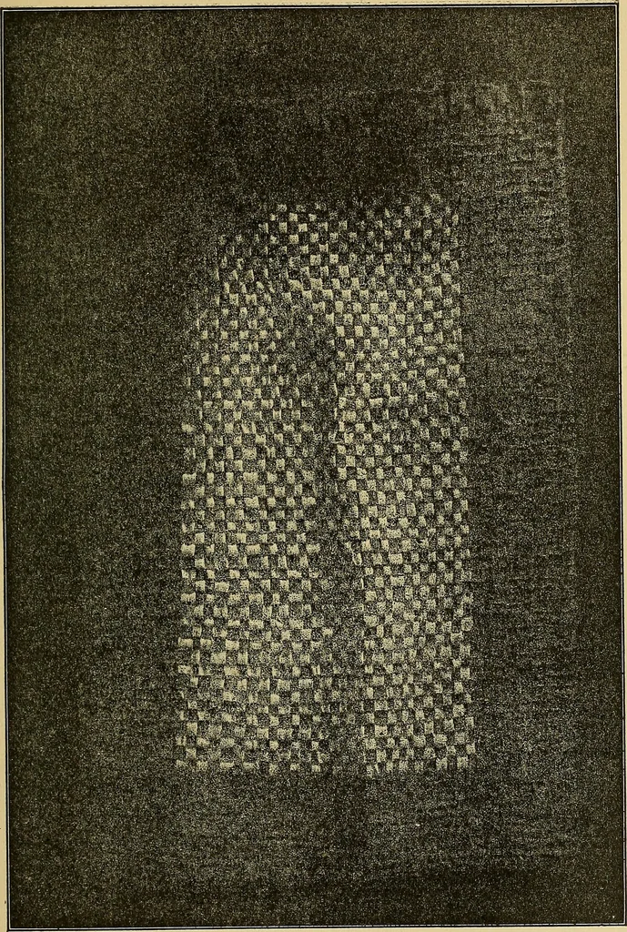 An illustration from Things worth doing and how to do them, 1906, leaf 390
