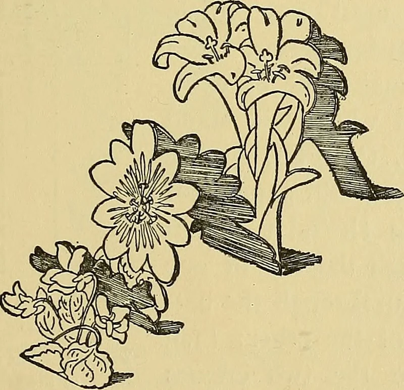 An illustration from Things worth doing and how to do them, 1906, leaf 394