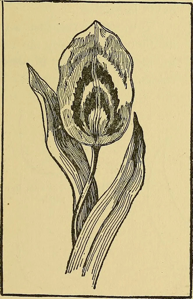 An illustration from Things worth doing and how to do them, 1906, leaf 396