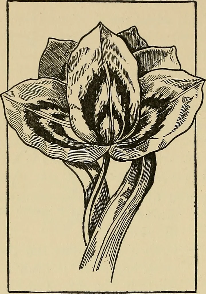 An illustration from Things worth doing and how to do them, 1906, leaf 397