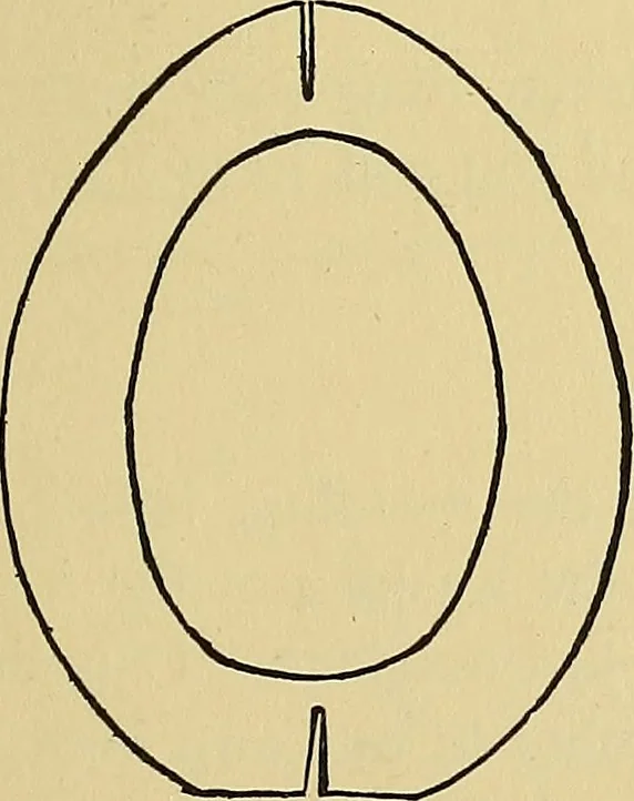An illustration from Things worth doing and how to do them, 1906, leaf 398