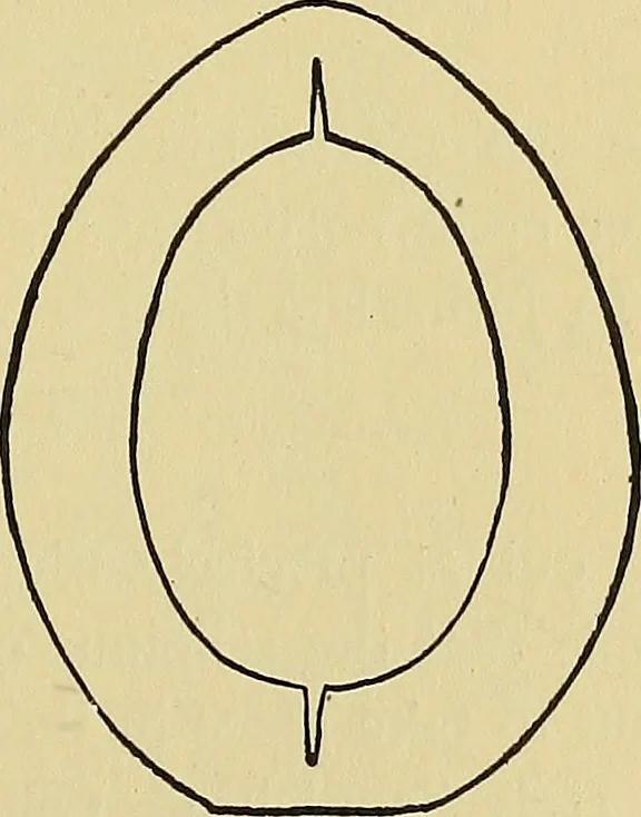 An illustration from Things worth doing and how to do them, 1906, leaf 398