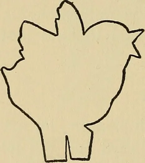 An illustration from Things worth doing and how to do them, 1906, leaf 399